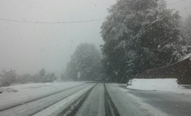 Сняг вали на прохода Петрохан съобщиха от областното пътно управление