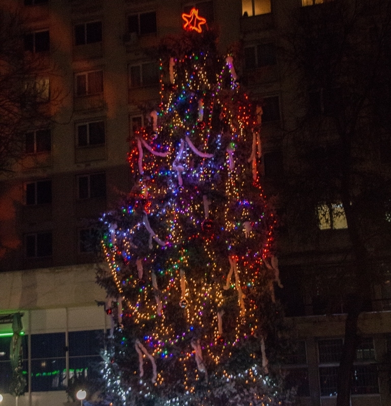Много усмивки и празнично настроение съпътстваха тържественото запалване на коледната