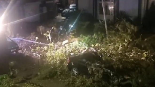 Ураганен вятър във Варна взе жертва, обявиха бедствено положение /снимки/