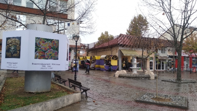 Община Монтана ще организира Фестивал на изкуствата В него са