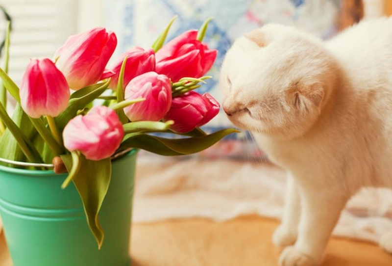 През нощта на много места в страната ще има превалявания от