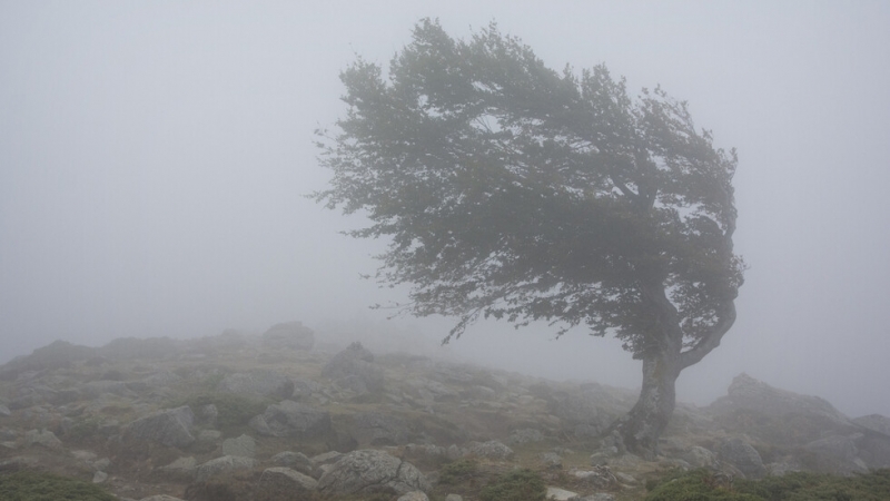 Повече от 12 500 домакинства в Северозападна Франция останаха без