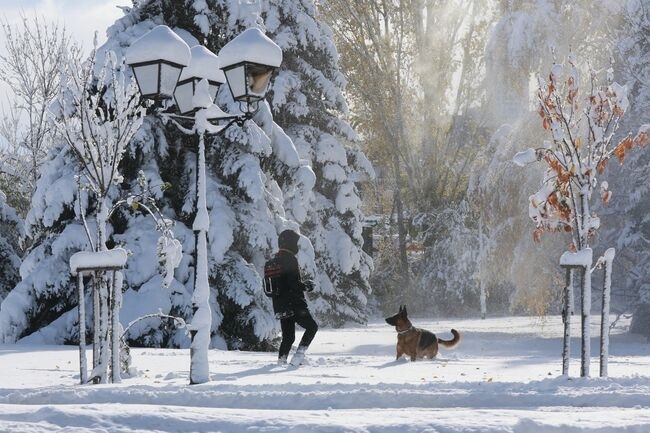 Утрото ще бъде мразовито с минимални температури между минус 9°