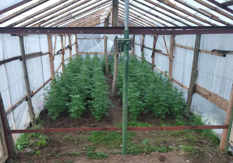 Случаят е от вчера След сигнал криминалисти от областната дирекция