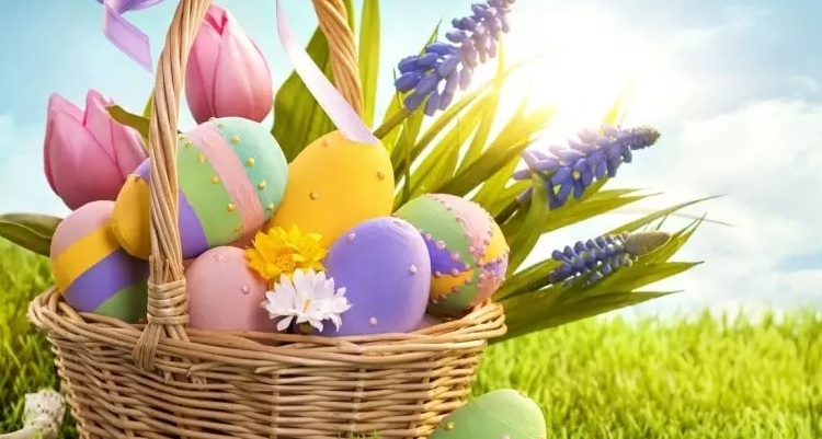 Дневен център за пълнолетни лица с увреждания Монтана с