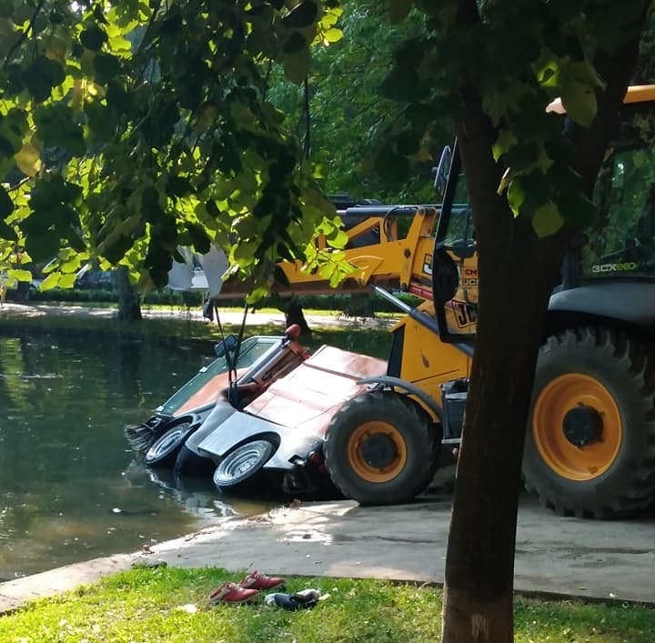 Куриозна гледка събра погледите тази сутрин в Монтана научи BulNews bg