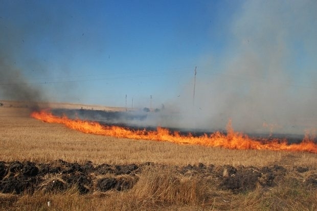 Пожар е изпепелил 50 декара пшеница в Монтанско, съобщиха от