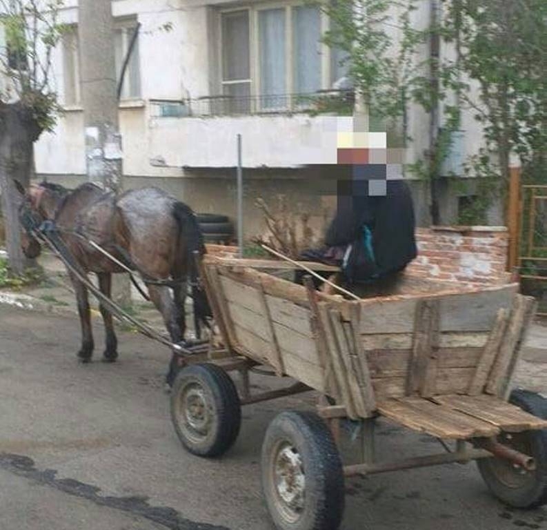 Общинари глобиха каруцар във Враца