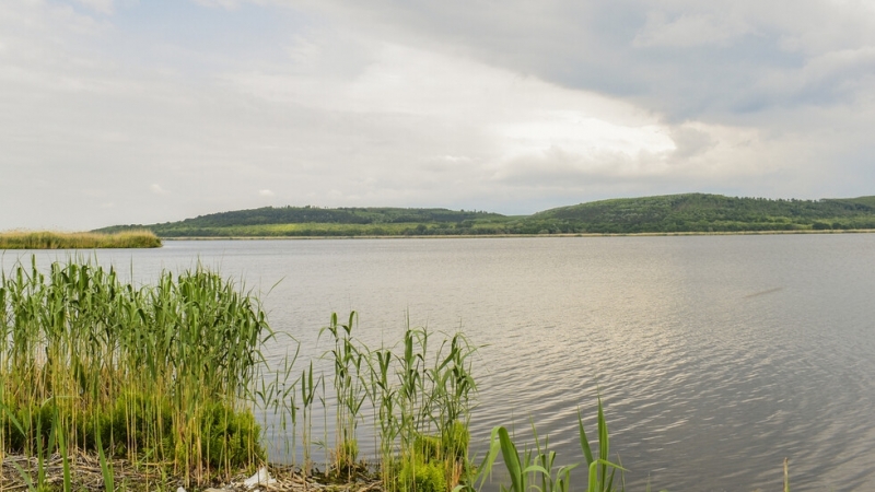 Възобновиха издирването на 13 годишното момче изчезнало във водите на Дунав