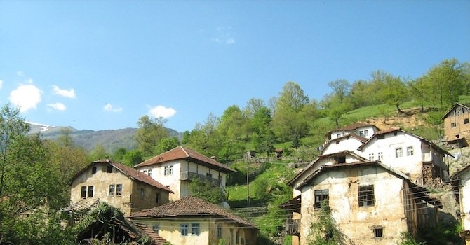 Село Рашовица в община Берковица е най малкото село в област