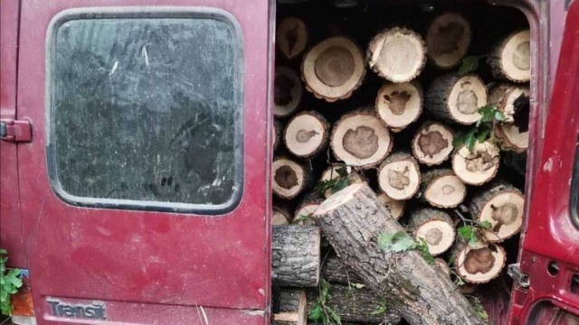 Полицаи са намерили незаконни дърва в бус във Видинско съобщиха