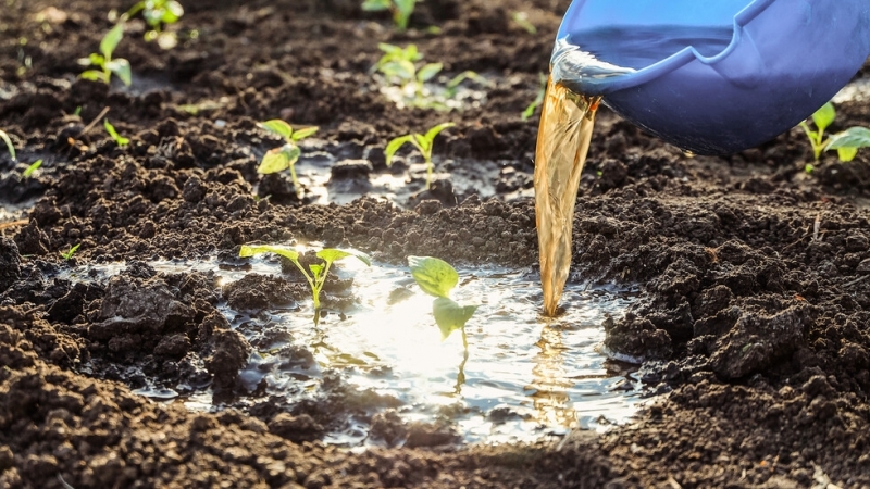 Около 2 милиона литра течен тор изтекоха от дефектен резервоар