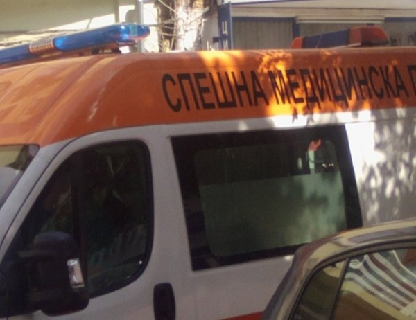 Двама работници загинаха в трудова злополука в свинеферма в село Попина Причина