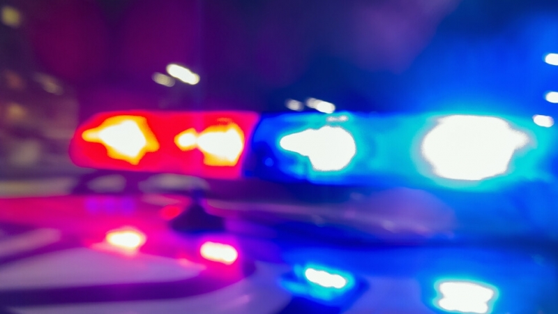 Шофьор блъсна и уби 37 годишен мъж край Плевен и избяга Инцидентът