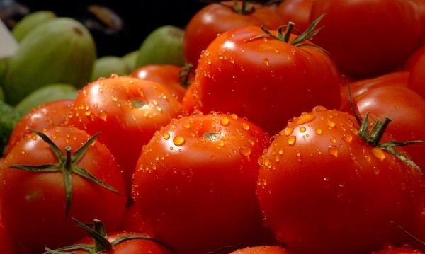 Неблагоприятното време от началото на юни с висока влажност и