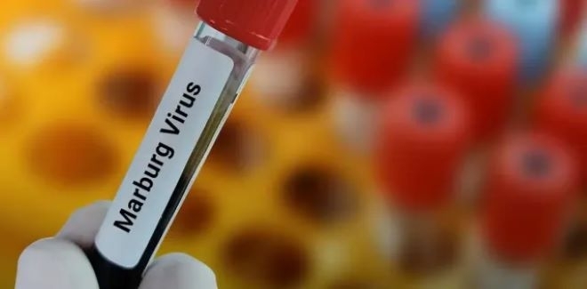 Световната здравна организация алармира че светът е заплашен от епидемия от