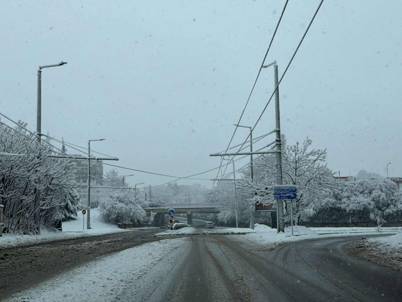 Снежна покривка от 5 6 см във Враца и региона