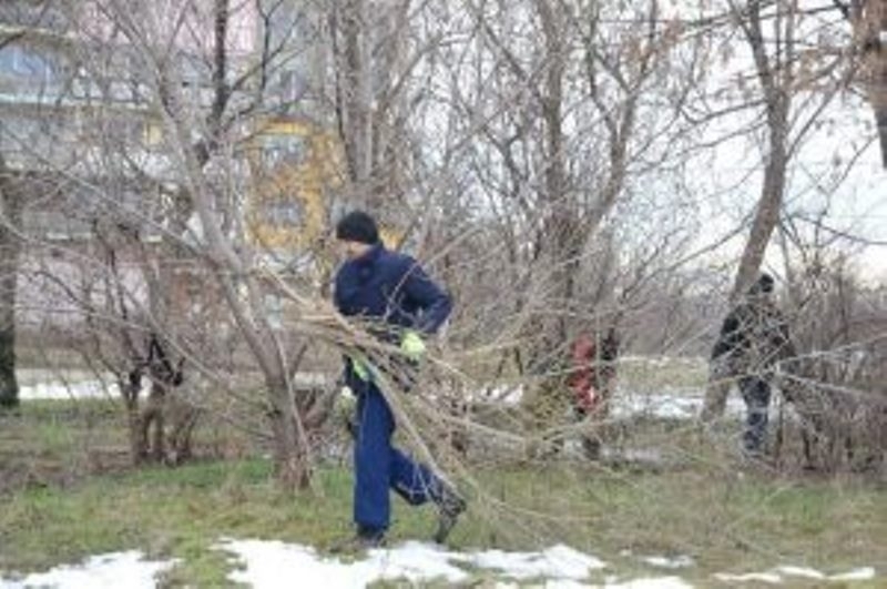 Община Видин почиства междублокови пространства в града /снимки/