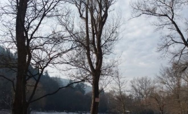 В понеделник сутринта видимостта отново ще е понижена в някои