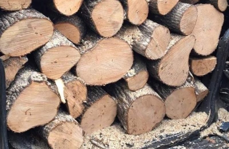 Намериха незаконна дървесина в двор в Козлодуй притежателят й отнесе