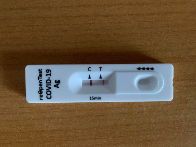 Вчера на територията на област Монтана са установени 10 нови