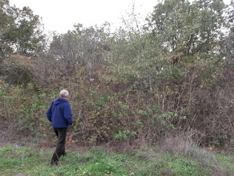 Местността край бургаския квартал Долно Езерово където бе открит труп