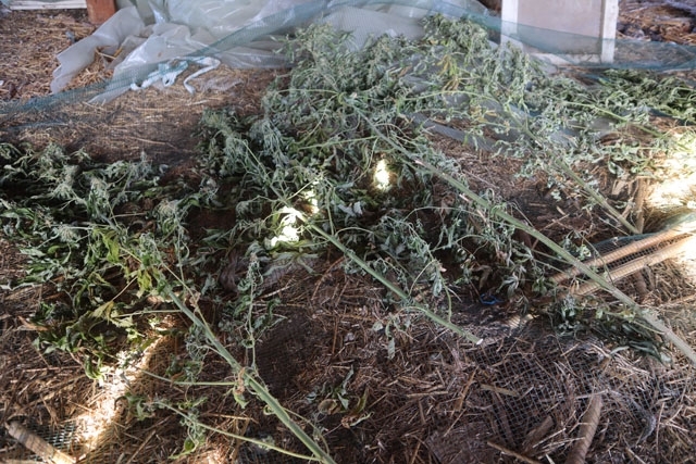 Полицаи са намерили наркотици във Видинско съобщиха от МВР Случаят е