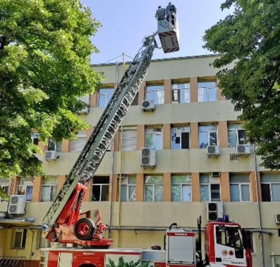 Лястовици бяха спасени от централния корпус на многопрофилна болница за