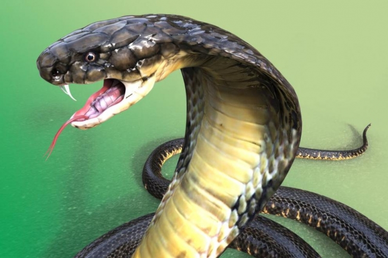 В тайландския град Хатхалунг съсед спаси бременна жена от 4 метрова