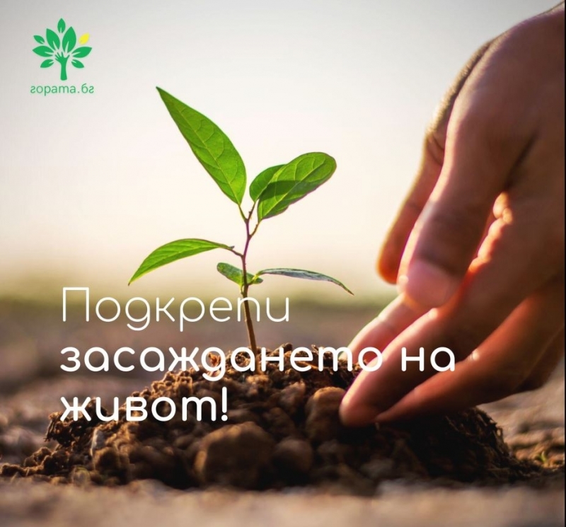 Община Мездра получи 1 000 броя фиданки дарение от