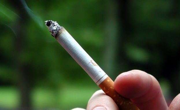 През миналата година у нас са починали около 110 хиляди