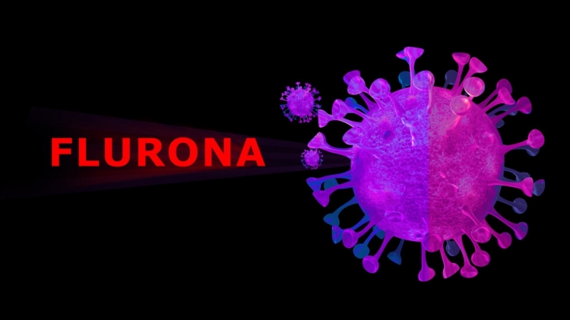 Все повече страни регистрират случаи на флурона комбинация между