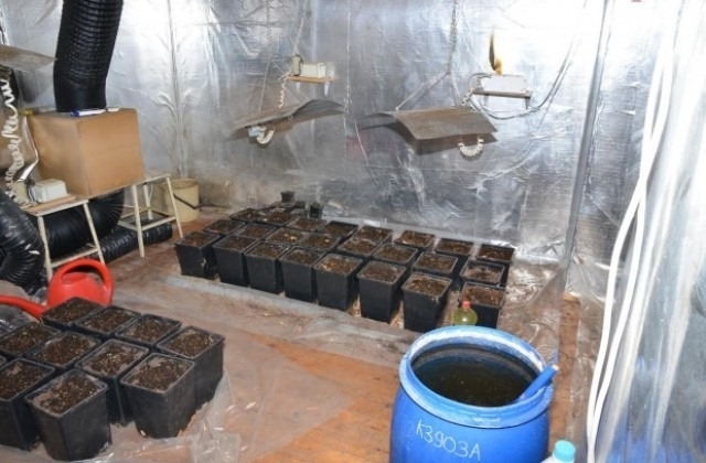 Полицаи са разбили нарколабораторията на младеж във Враца съобщиха от