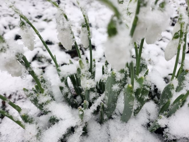 Зимна е обстановката в Монтанско научи агенция BulNews Сняг заваля