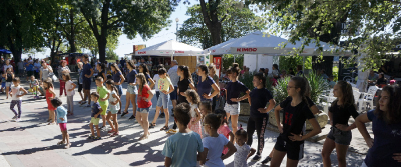 Деца се учиха на български танци във Видин като част