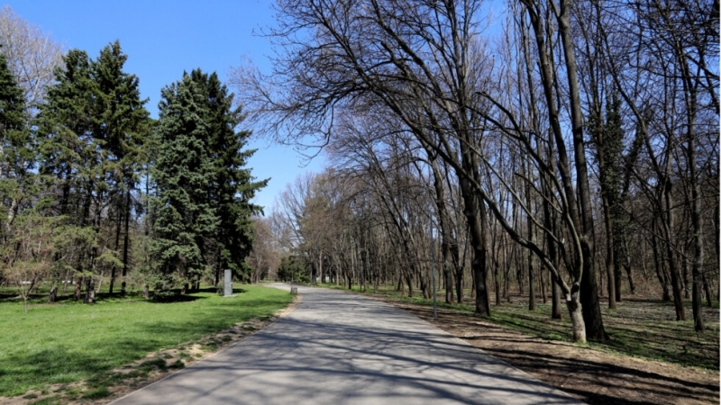 Ще се вземе решение в парковете в София да могат