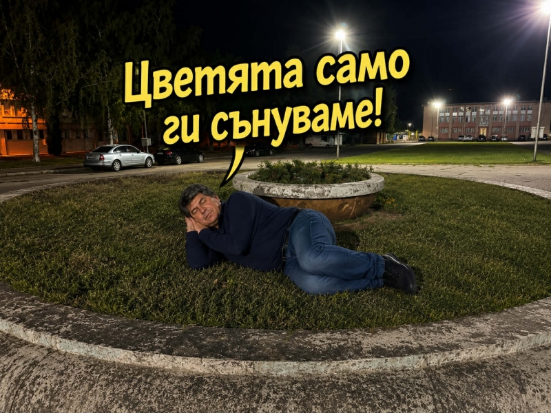 Защо бе, Саше?! Треволяци вместо цветя ще са декор за Врачанския панаир, излагацията е голяма /снимки/