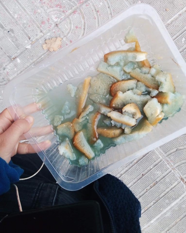 За потресаващо безсърдечие на жители на Мездра алармират от фондация