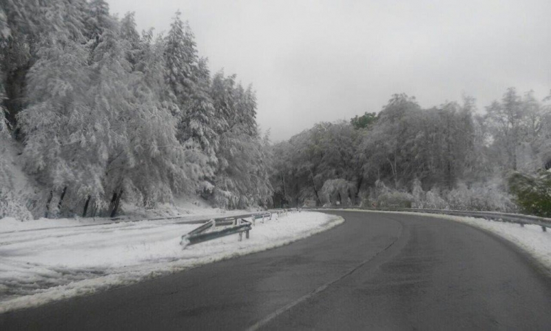 1 Метеорологична обстановка Температурите са в интервала от 13 deg