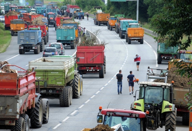 Близо 36 процента или повече от една трета от българските