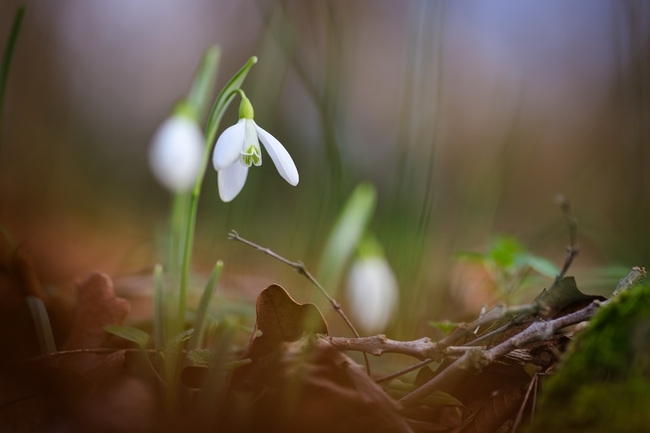Днес вятърът от северозапад отново ще се усили до