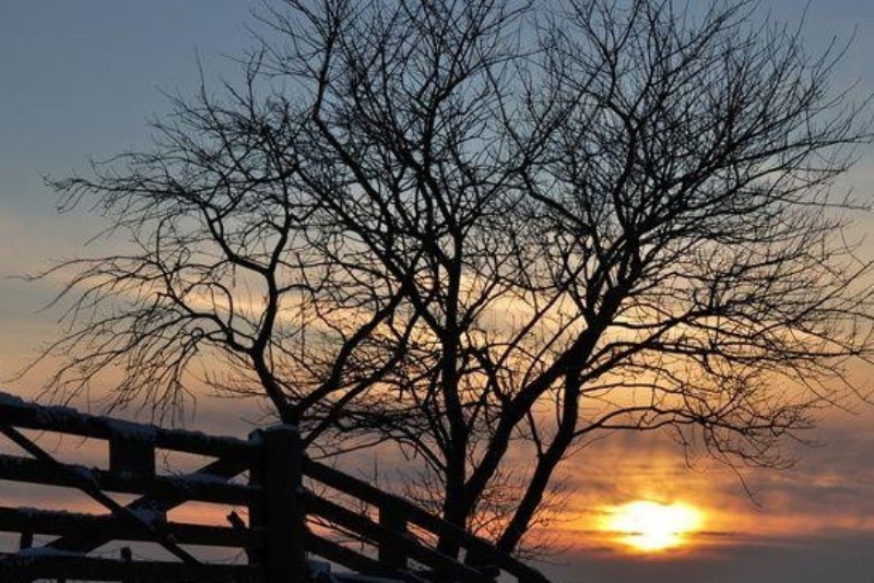 Новата година ще започне със слънчево време максималните температури ще