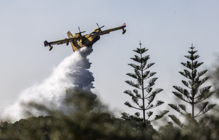 Продължава борбата с големия горски пожар в Гърция. Около 300