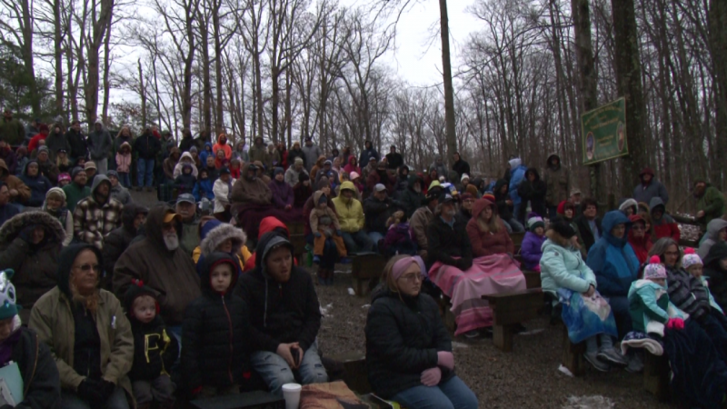 Около 7 000 опита за незаконно влизане в страната откъм