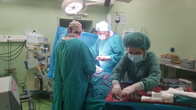Лекари от двете университетски болници "Пирогов" и "Майчин дом" изродиха