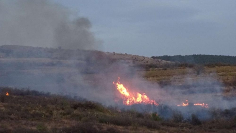 Запалени сухи треви предизвикаха пожари във Видинско съобщиха от полицията