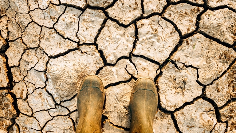 Европа преживява най тежката суша от близо 5 века насам Това