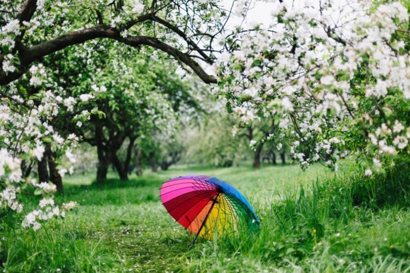 През нощта и в източните райони ще се изясни Сутринта