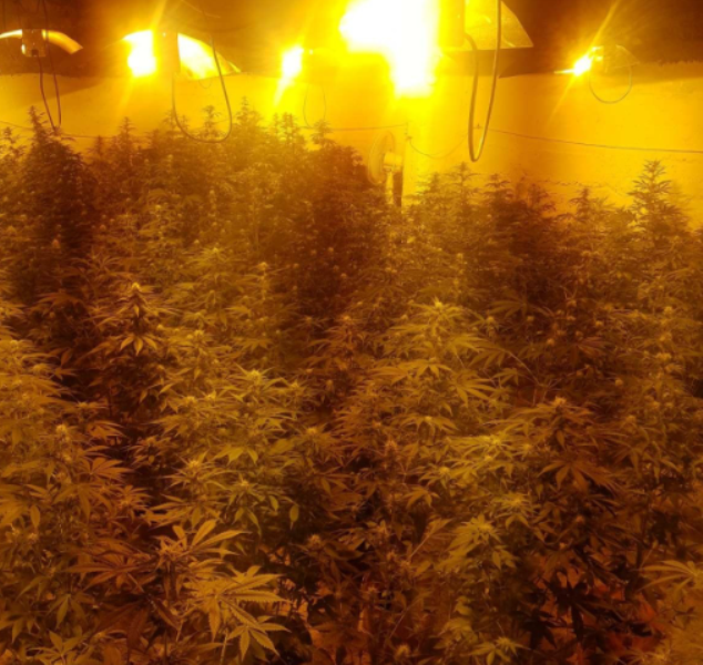 Огромна нарколаборатория e разбила снощи полицията в Монтана съобщи на