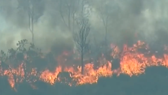 Стотици бяха евакуирани заради големи пожари в Австралия Горят хиляди